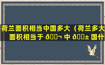 荷兰面积相当中国多大（荷兰多大面积相当于 🐬 中 🐱 国什么地方）